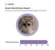 TOTAL DNA – Pet Edition | Η πιο αναλυτική γενετική ανάλυση για το σκυλάκι ή τη γατούλα σας (καταγωγή, υγεία & συμπεριφορά)