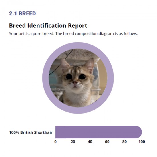 TOTAL DNA – Pet Edition | Η πιο αναλυτική γενετική ανάλυση για το σκυλάκι ή τη γατούλα σας (καταγωγή, υγεία & συμπεριφορά)