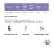 TOTAL DNA – Pet Edition | Η πιο αναλυτική γενετική ανάλυση για το σκυλάκι ή τη γατούλα σας (καταγωγή, υγεία & συμπεριφορά)