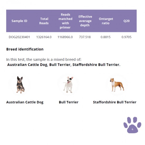TOTAL DNA – Pet Edition | Η πιο αναλυτική γενετική ανάλυση για το σκυλάκι ή τη γατούλα σας (καταγωγή, υγεία & συμπεριφορά)