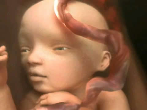 Babies open their eyes inside the womb