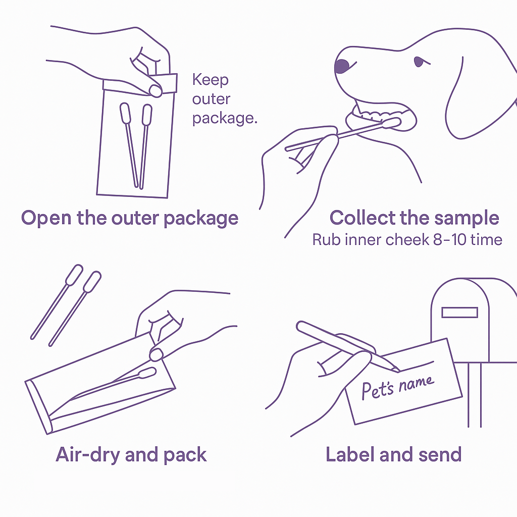 swab steps