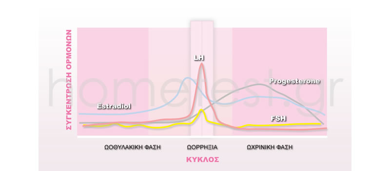 Diagram of Hormones