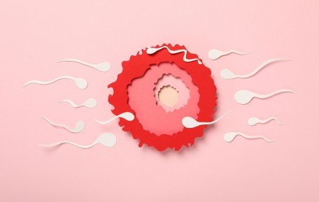 What is the probability of pregnancy on non-fertile days?
