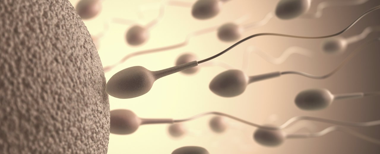 Why it is necessary to measure sperm motility