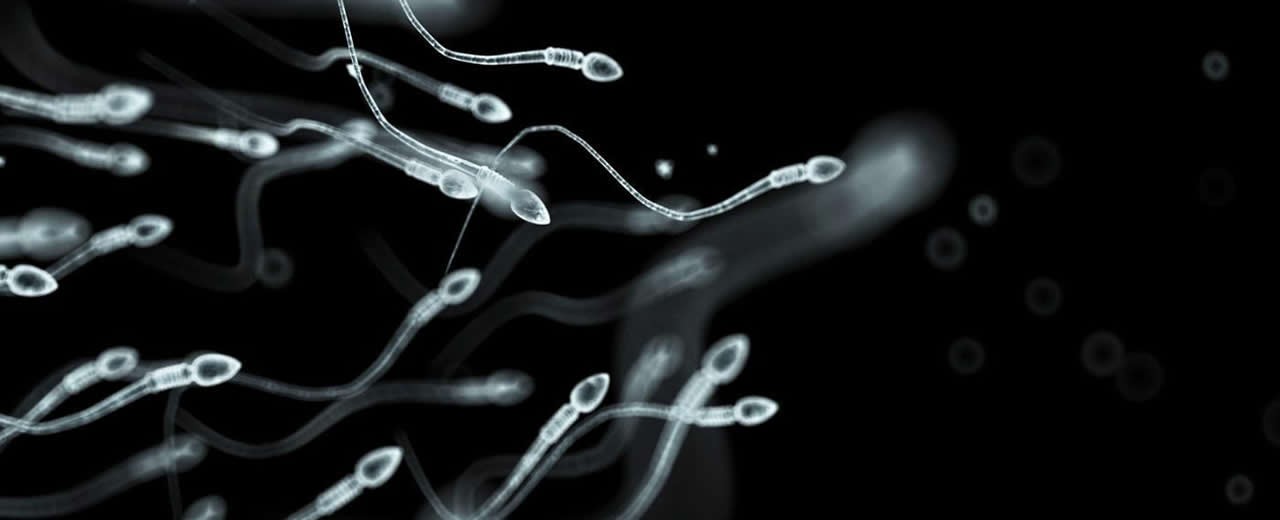 New research proves sperm count decline